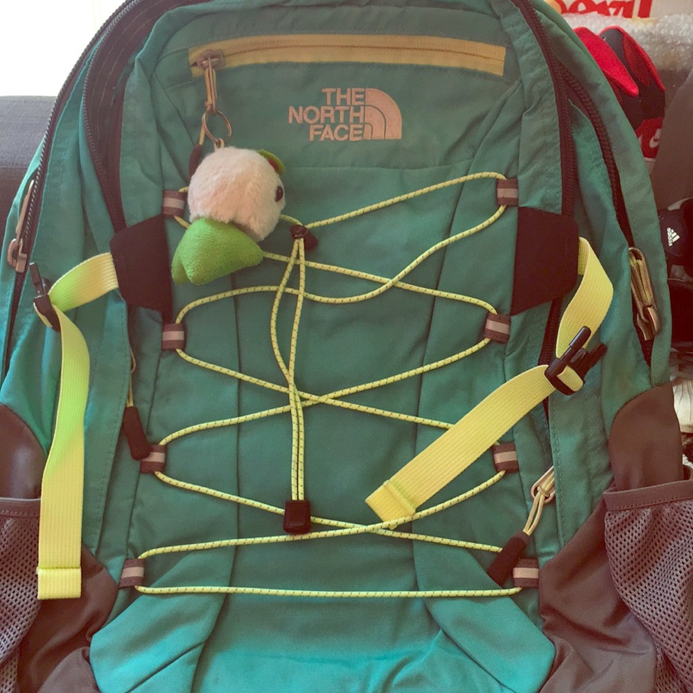 The North Face Borealis